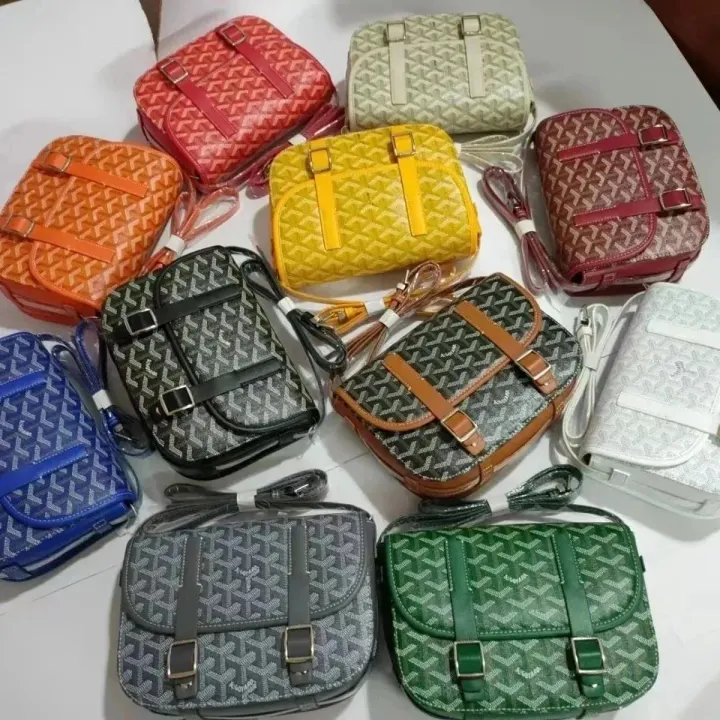 Goyard Chevron Pattern Crossbody Bag in Mixed Colors