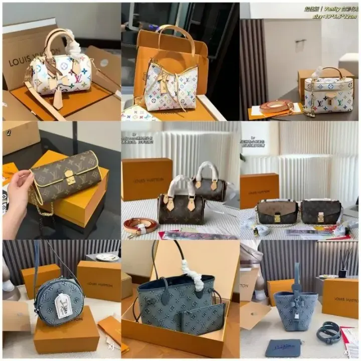 Louis Vuitton handtassencollectie met multicolor monogram