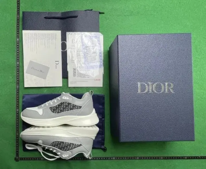 Dior Grey Oblique Low-Top Sneakers